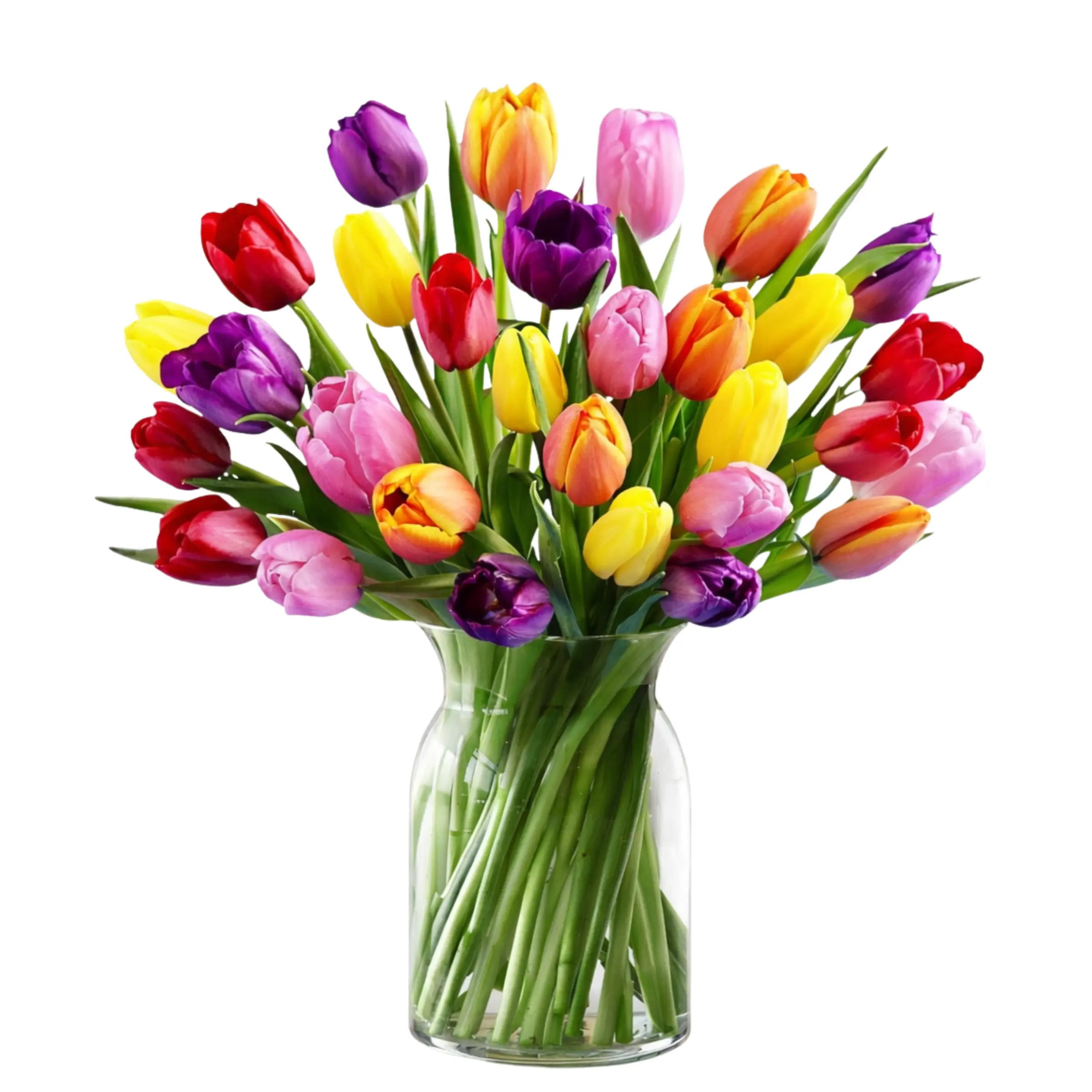 30 MIXED TULIPS