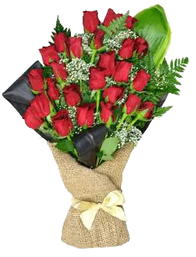 24 Red Roses