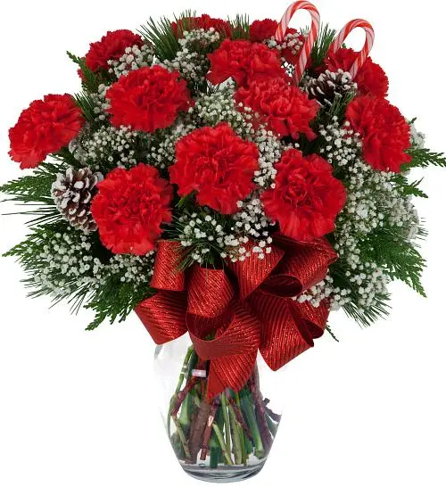 Classic Christmas Carnations