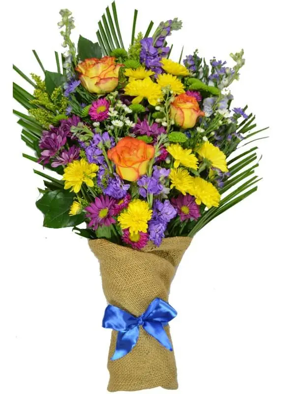 Rustic Wonder (Regular)