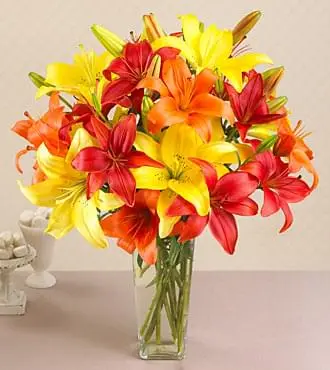 JUST LILIES