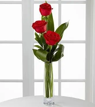 3 Red Roses