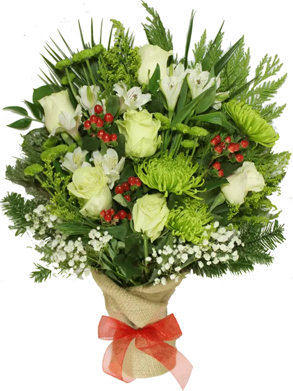 Winter Wonder (Regular (As Shown))