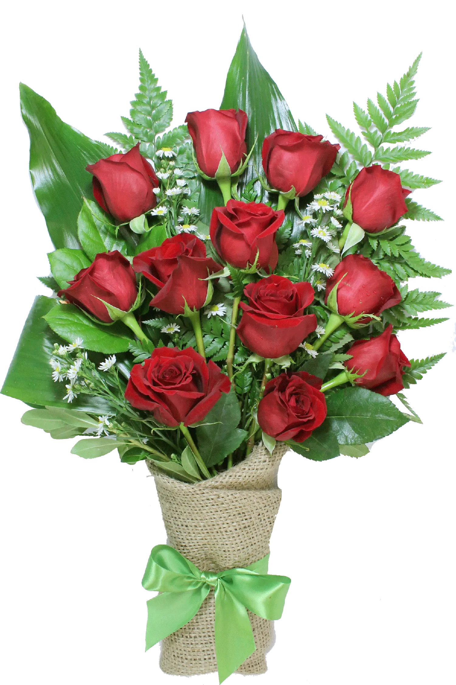 12 Red Roses