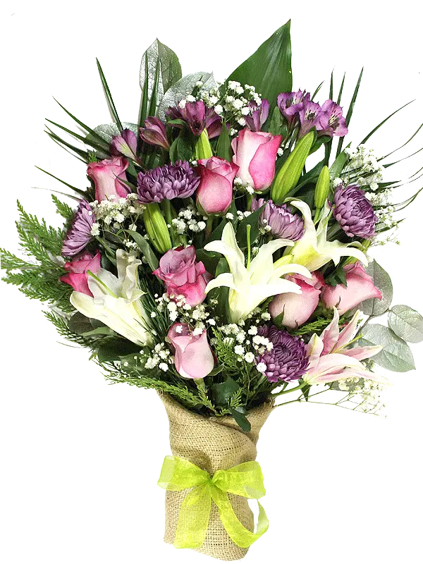 Winter Dawn (Regular (As Shown))