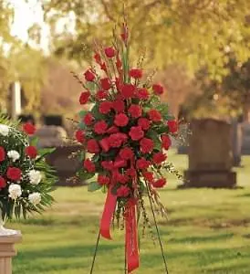 Red Regards Spray