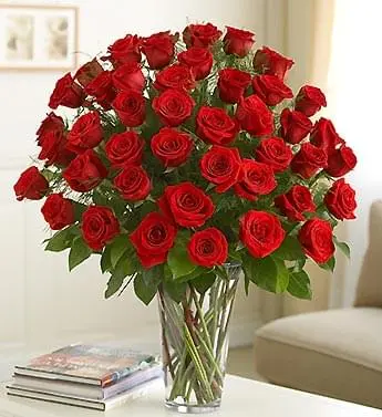THREE DOZEN RED ROSES