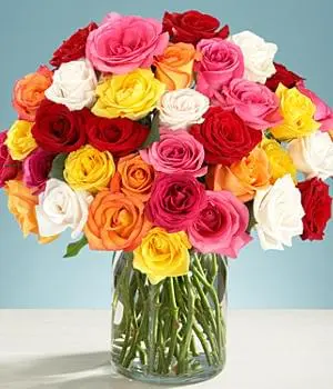 THREE DOZEN ASSORTED ROSES