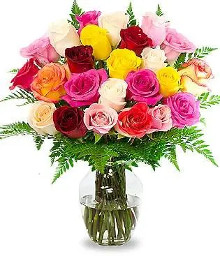 TWO DOZEN ASSORTED ROSES