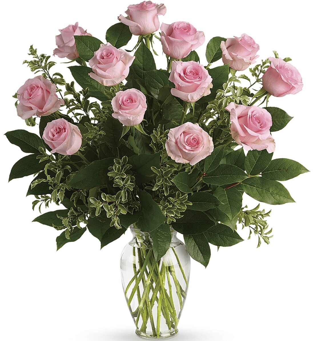 12 Pink Roses