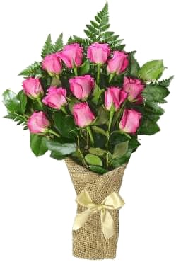 12 Pink Roses