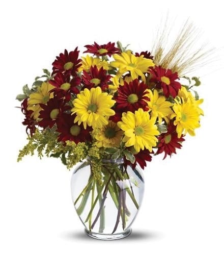 Fall For Daisies