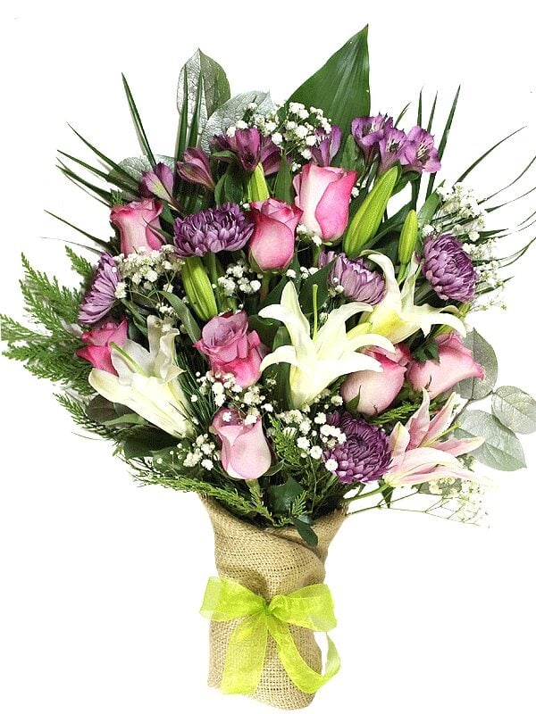 Winter Dawn (Regular (As Shown))