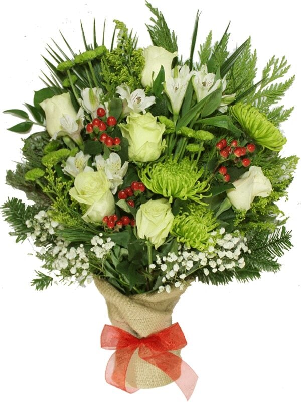 Winter Wonder (Regular (As Shown))