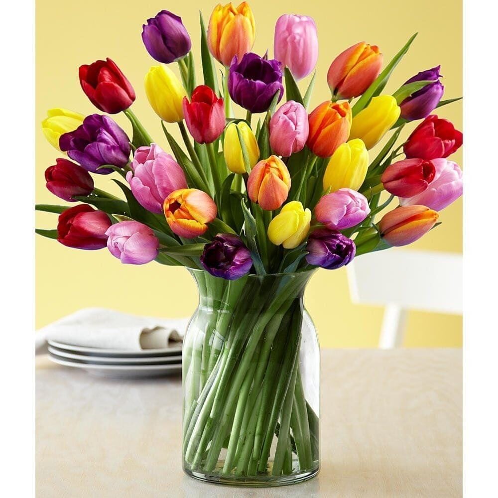 30 MIXED TULIPS