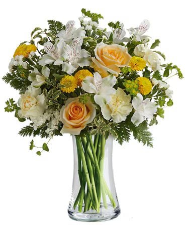 Celebrate Mum (Classic)
