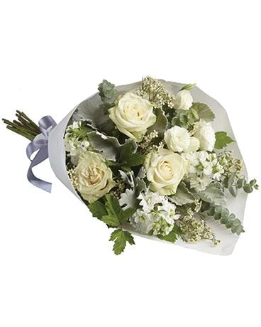 Abelia (Classic)