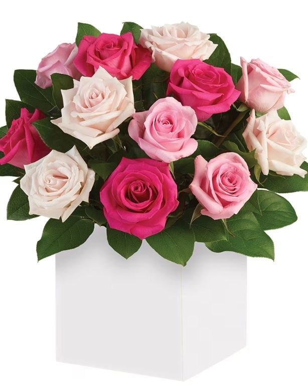 Pink Blush