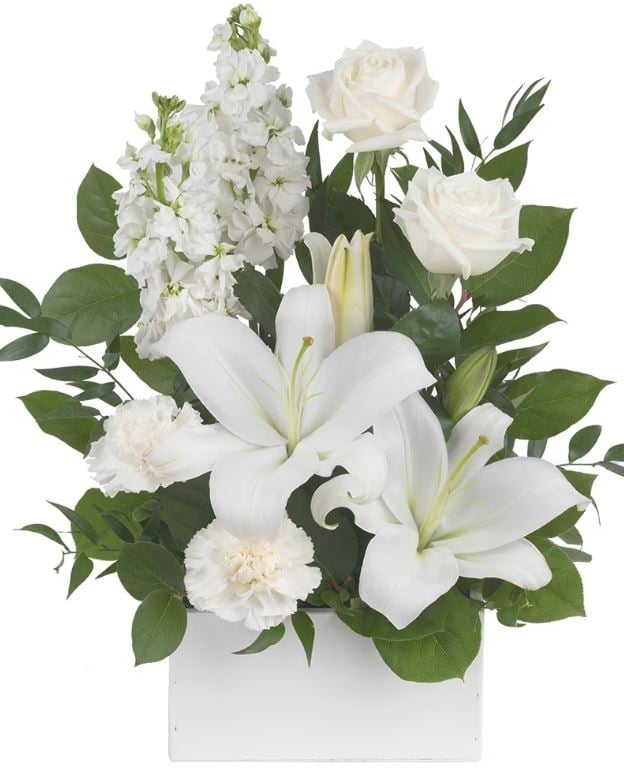 White Simplicity (Classic)