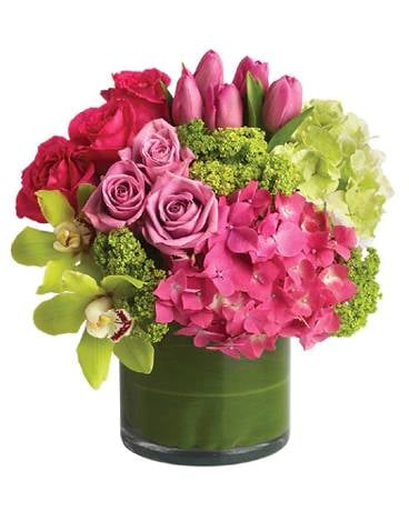 Floral Fantasy (Classic)