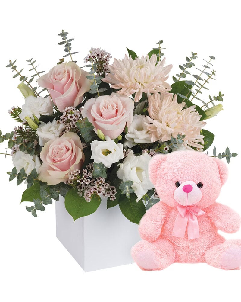 It's a Girl with Teddy (Classic)