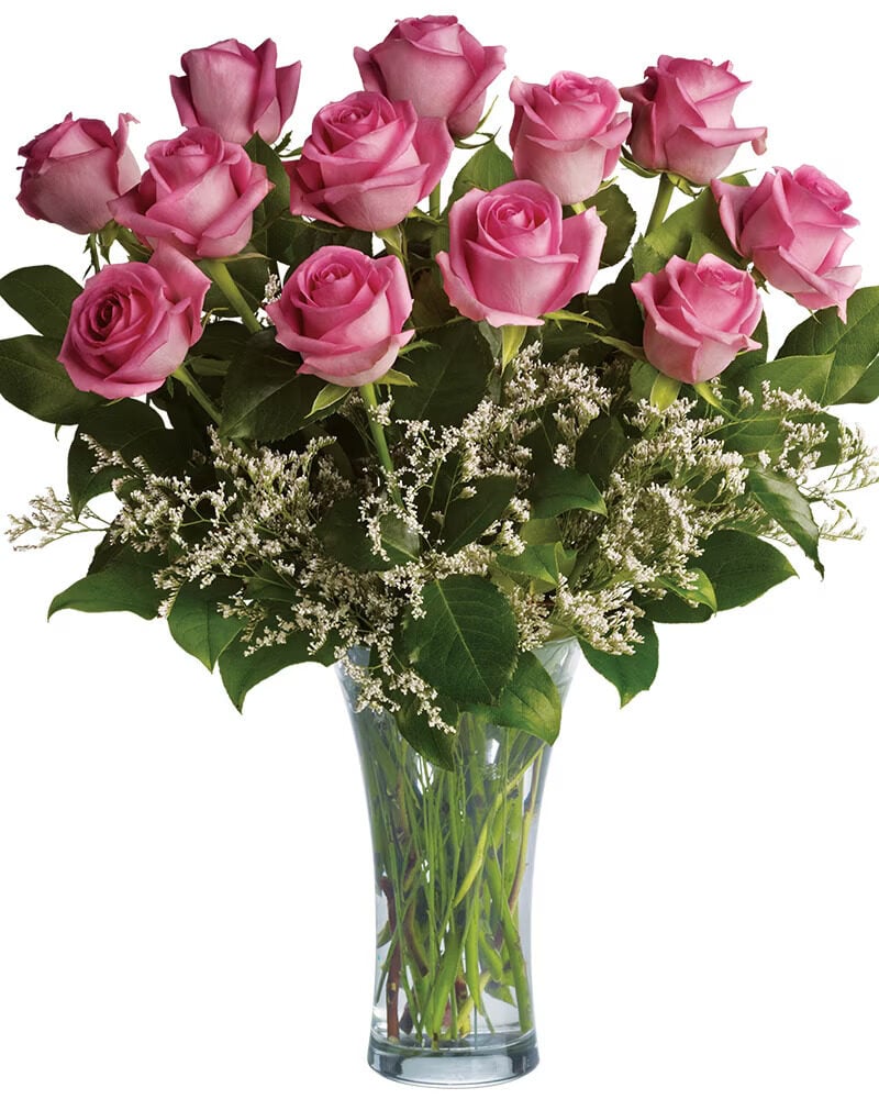 Perfect Pink Dozen