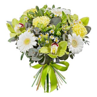 Freshness of Dew (Small)