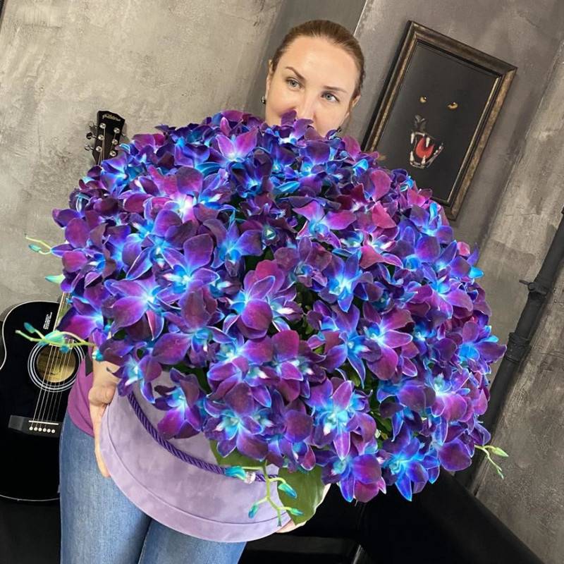 Megastar,201,Orchid