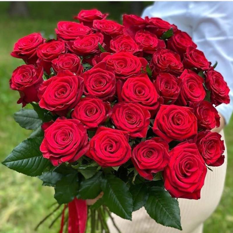 Bouquet,of,35,red,roses