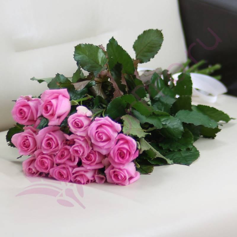 15,pink,roses,Revival_,60,cm