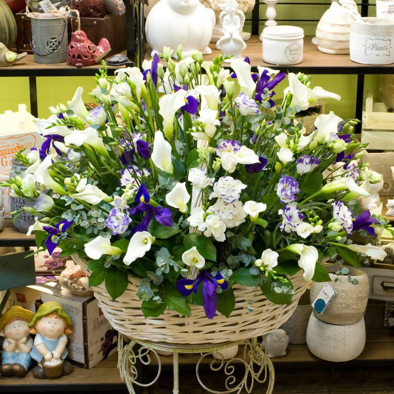 Flower,basket,"Magic"