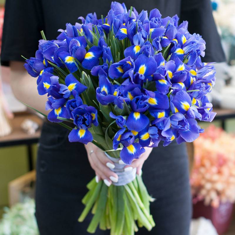 Bouquet,of,flowers,Blue,irises