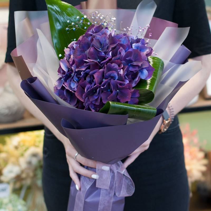 Bouquet,tcvetov,"Fioletovaya,gortenziya"