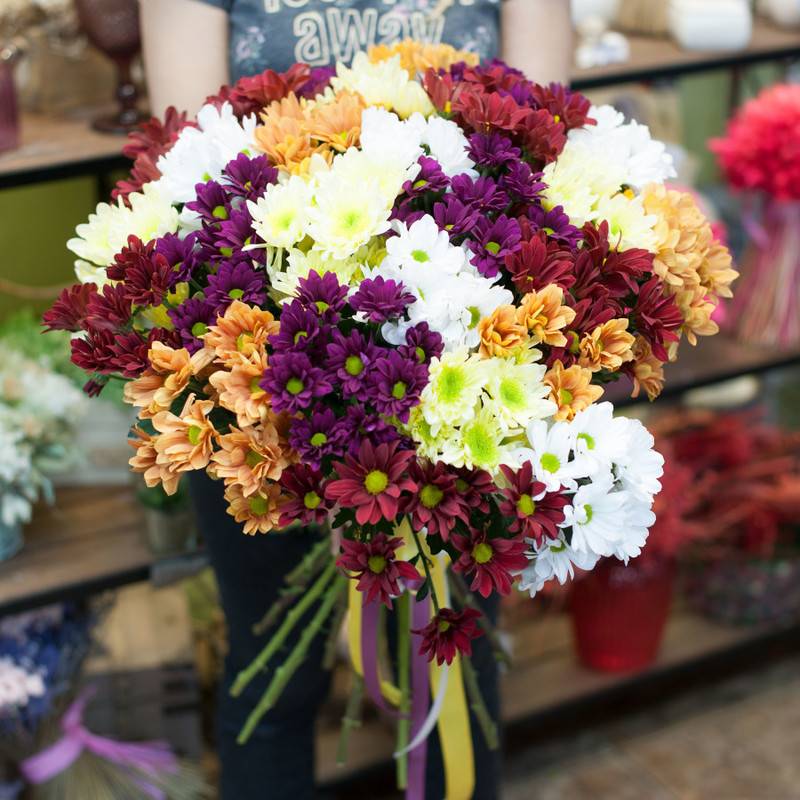 "Anita",Christmas,Bouquet