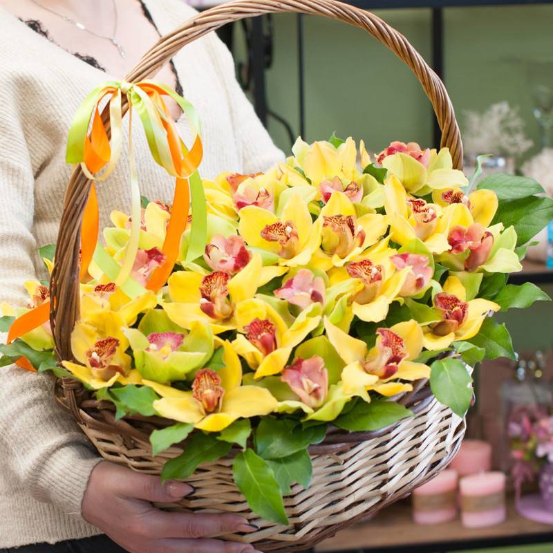 Chicago,Flower,Basket