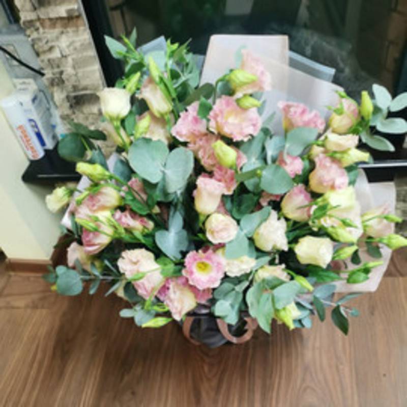 eustoma,25