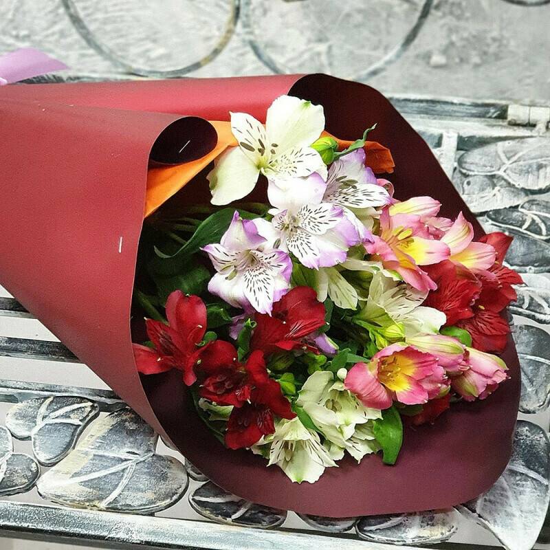 Joy,of,Alstroemeria