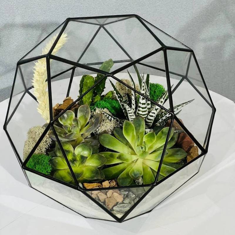 Bol_shoj,florarium,s,rasteniyami