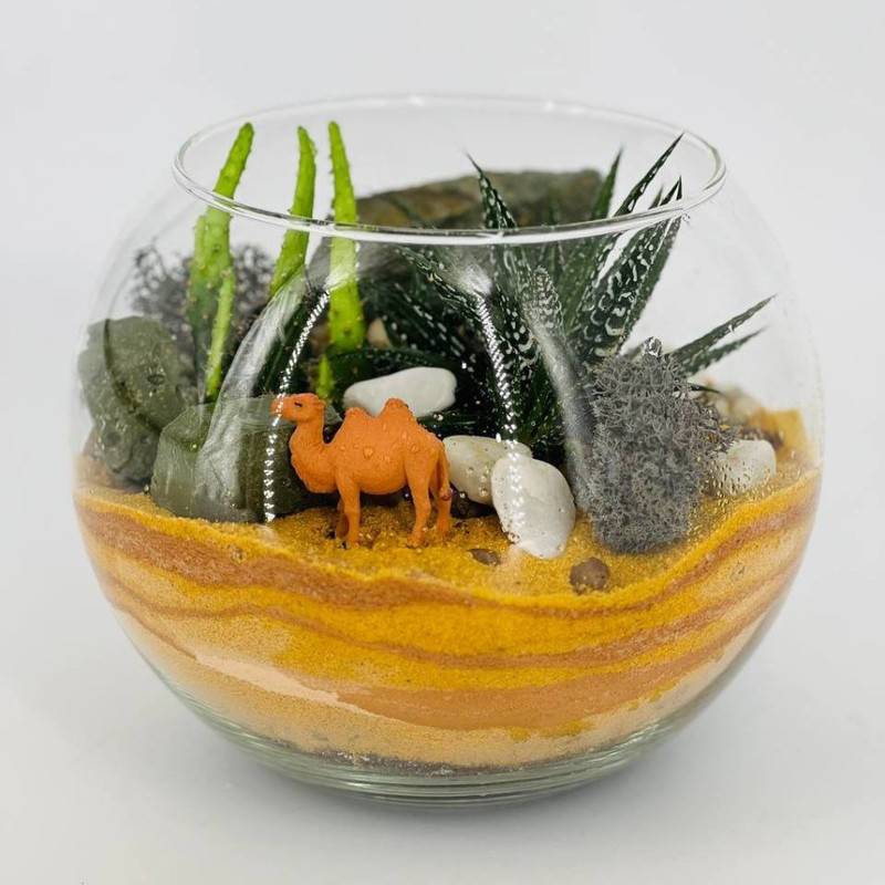 Florarium,s,rasteniyami,"Pustinya,Sahara"
