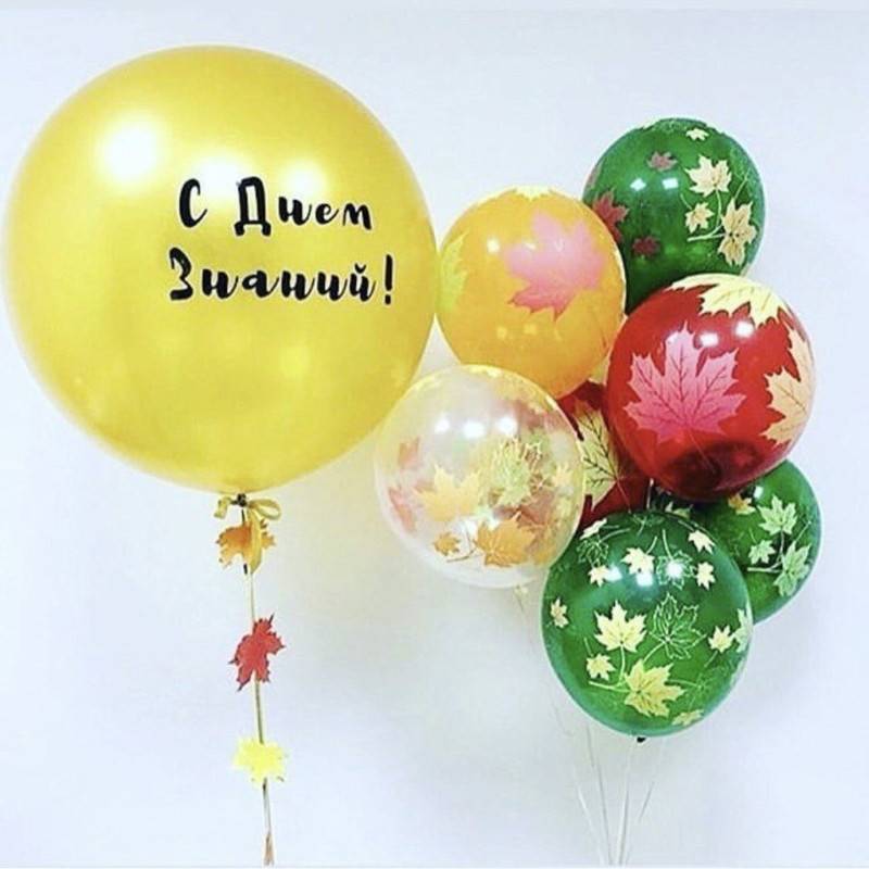 Nabor,sharov,na,Den_,znanij,1,sepatrya,Den_,uchitelya