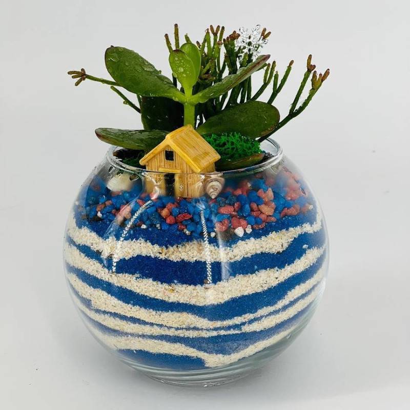 Florarium,with,plants