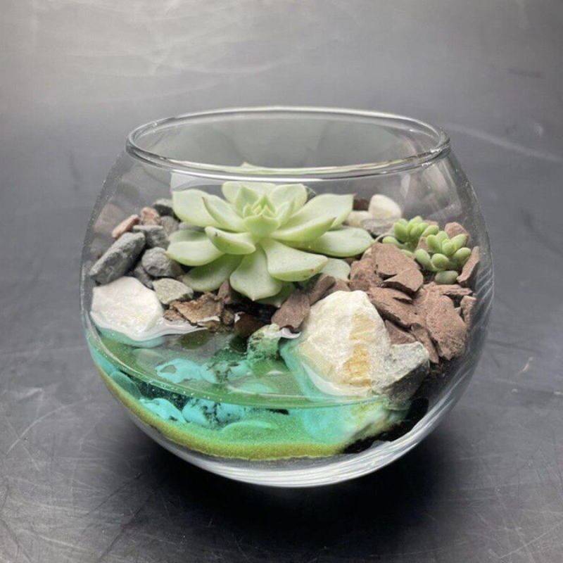 Florarium,s,sukkulentami,i,iskustvennim,vodoyomom