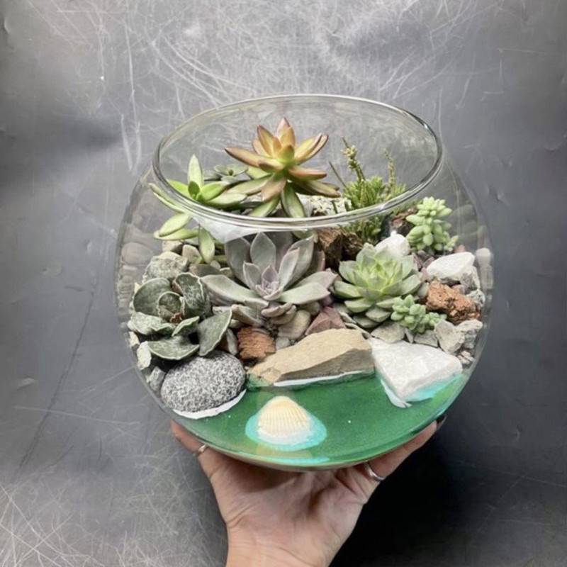 Rastitel_nij,terrarium,florarium,s,iskusstvennim,vodoyomom