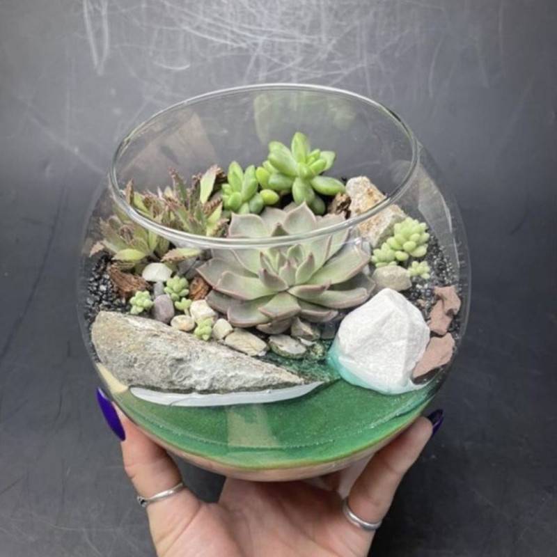 Florarium,s,rasteniyami,sukkulentami,i,iskusstvennim,vodoyomom