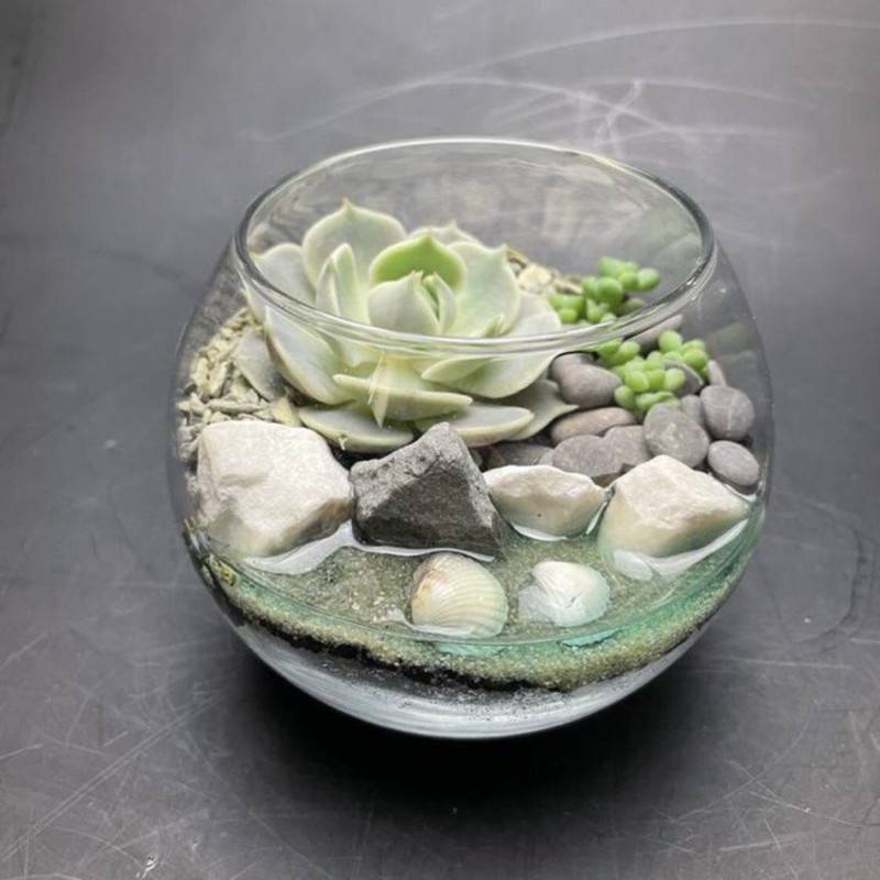 Mini,florarium,with,rasteniami