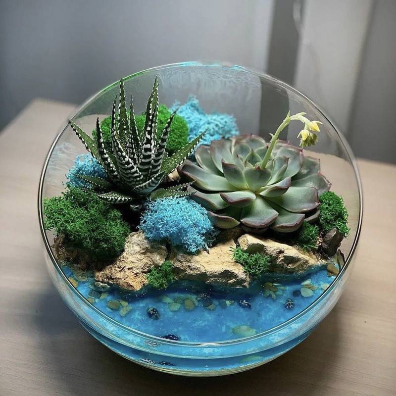Florarium,with,plants