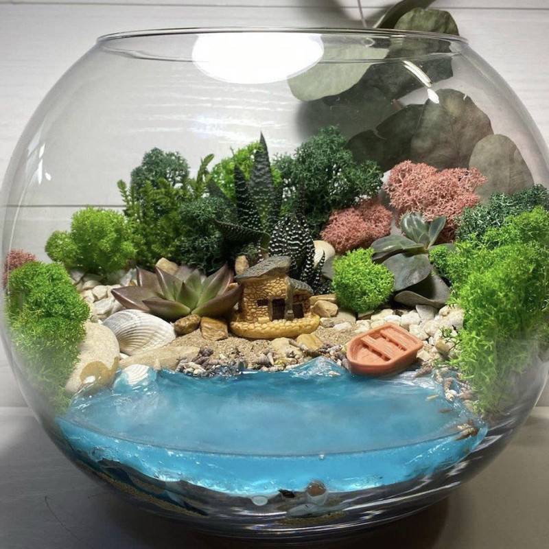 Florarium,inter_ernij,"Dom,na,beregu,morya"