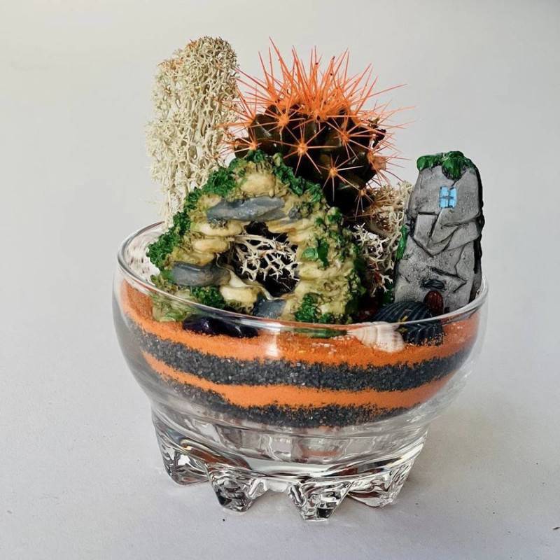 Cactus,v,bokale.,Mini,florarium