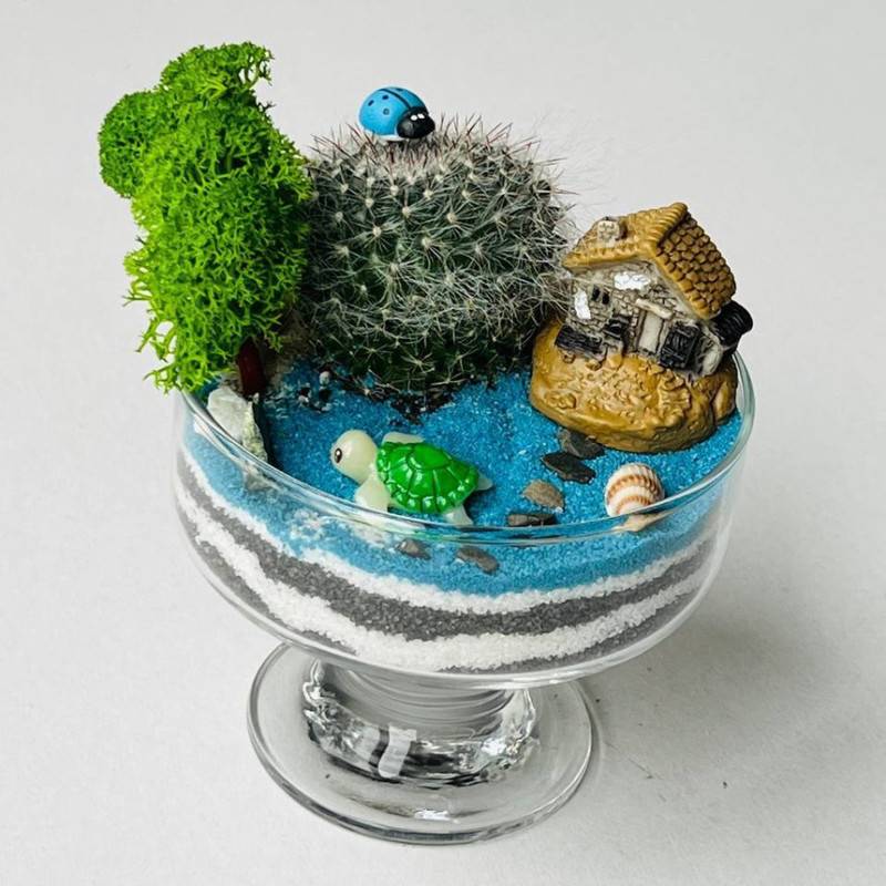 Cactus,v,bokale.,Mini,florarium,morskoj,briz,s,domikom,i,cherepahoj