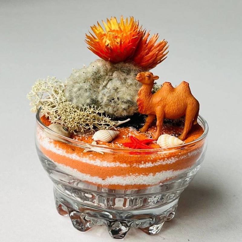 Cactus,v,stekle.,Mini,florarium,pustinya,s,verblyudom